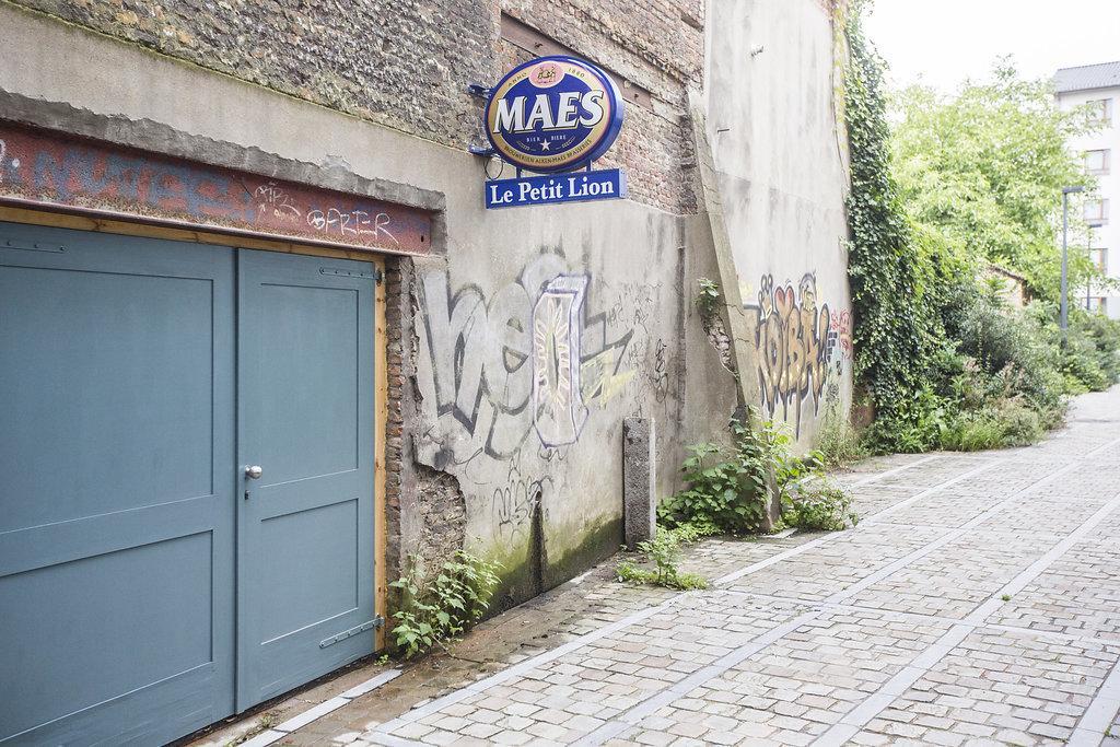 Les Chambres Du Petit Lion Brussels Ngoại thất bức ảnh